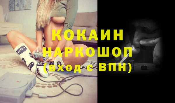соль ск Белокуриха