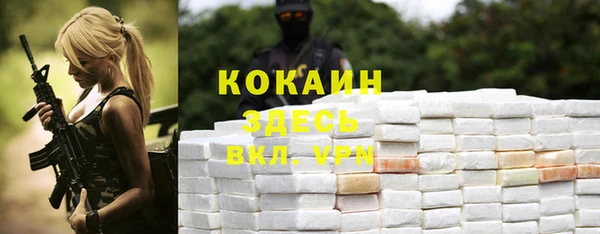 соль ск Белокуриха