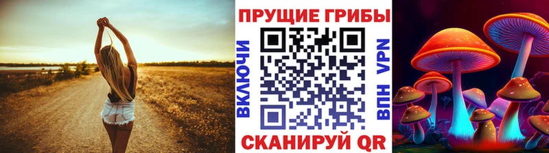 Псилоцибиновые грибы мицелий  Купить  Афипский 
